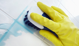 Office Cleaning Services